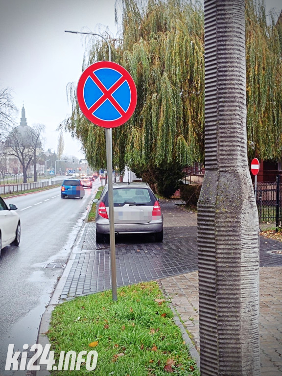 Mistrzowie pakowania - listopad 2023