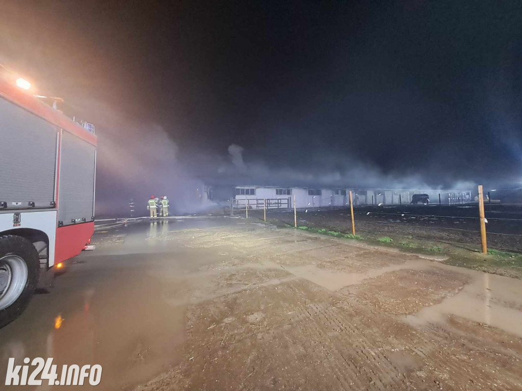 Pożar na terenie Fundacji Powiatu Mogileńskiego. Spłonęło bydło