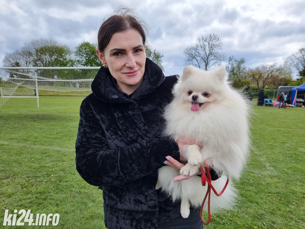 Szczekająca wystawa na stadionie