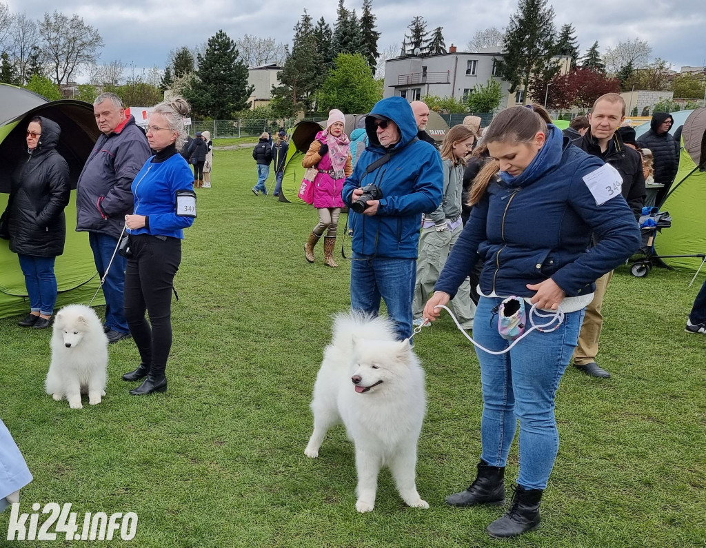 Szczekająca wystawa na stadionie