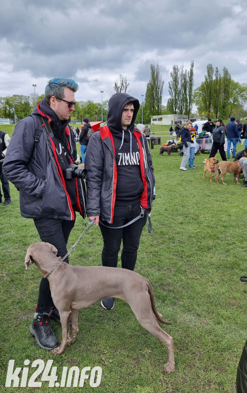 Szczekająca wystawa na stadionie