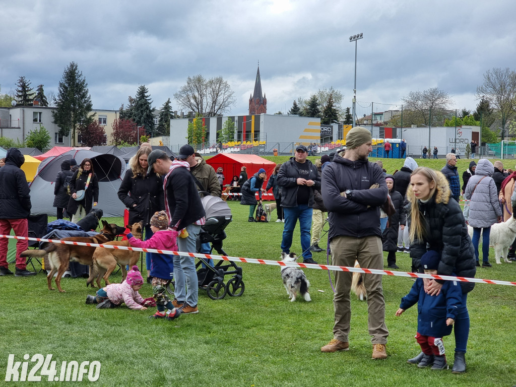 Szczekająca wystawa na stadionie