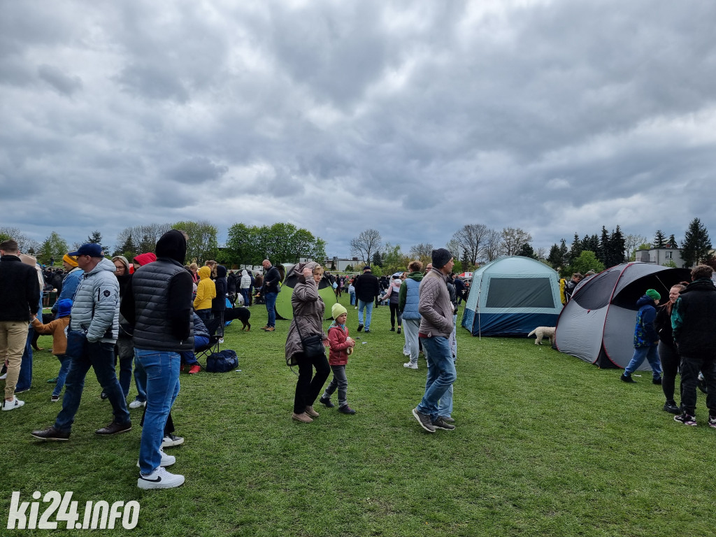 Szczekająca wystawa na stadionie