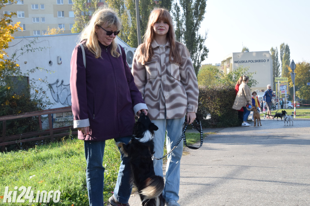 Wielki Psi Pochód „łapa w łapę” pomaszerował do Galerii