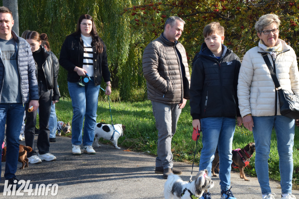 Wielki Psi Pochód „łapa w łapę” pomaszerował do Galerii