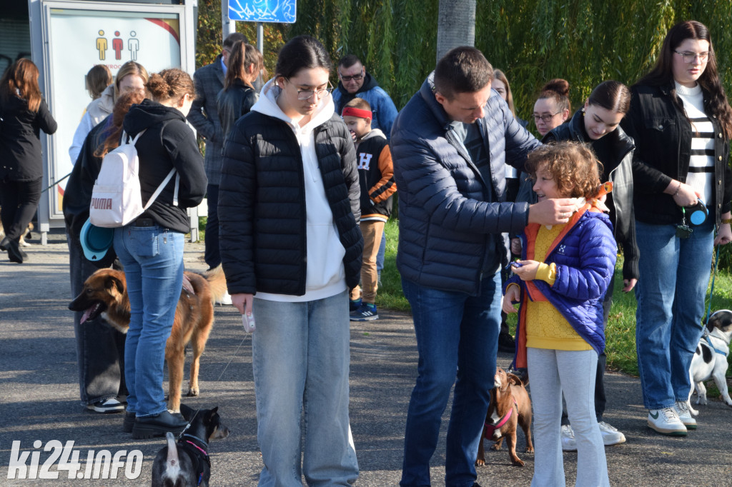 Wielki Psi Pochód „łapa w łapę” pomaszerował do Galerii