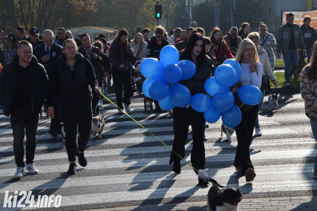 Wielki Psi Pochód „łapa w łapę” pomaszerował do Galerii