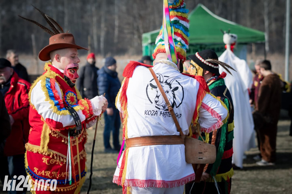 Zapustne kozy w Łojewie