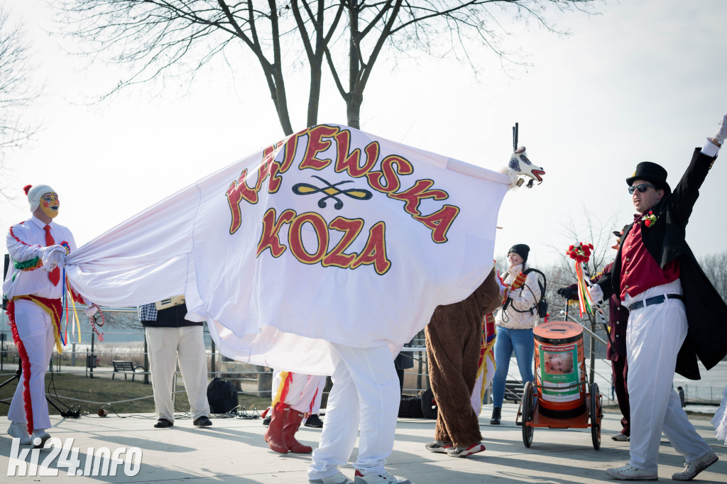 Zapustne kozy w Łojewie