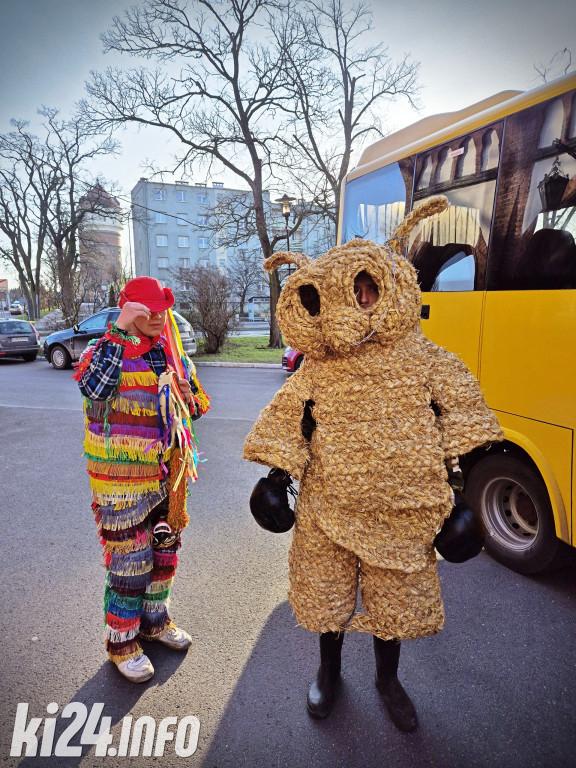 Zapustne kozy w ratuszu