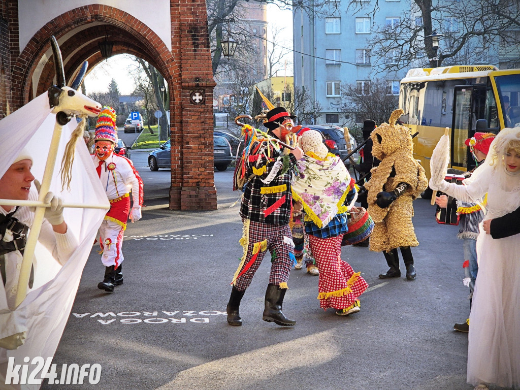 Zapustne kozy w ratuszu