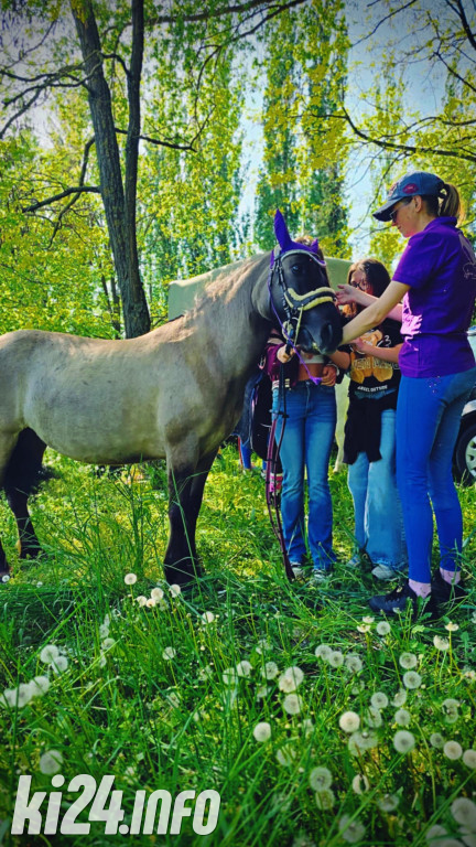 Majówkowe Kocyk Party 2025 w Janikowie