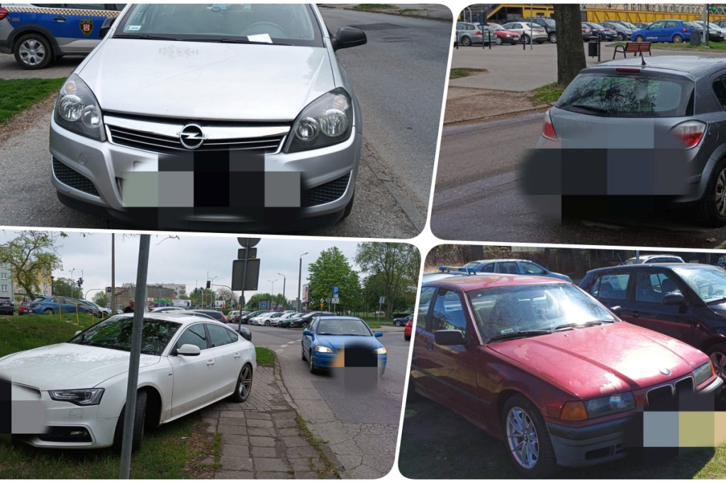 Na trawnikach, zakazach i gdzie się da