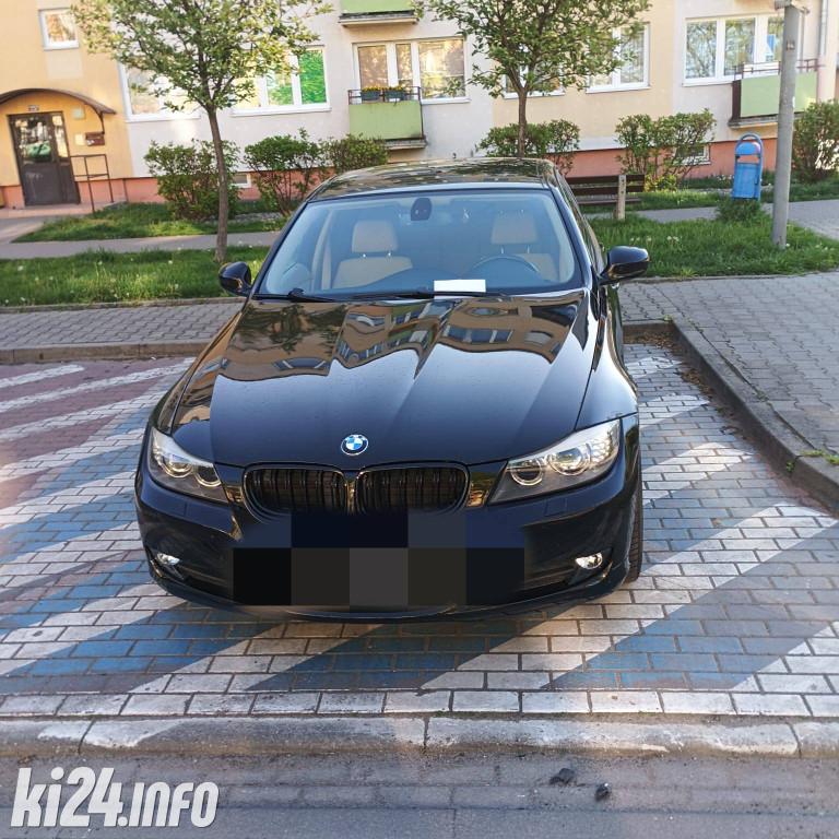 Na trawnikach, zakazach i gdzie się da
