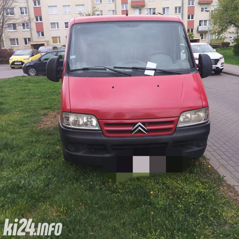 Na trawnikach, zakazach i gdzie się da