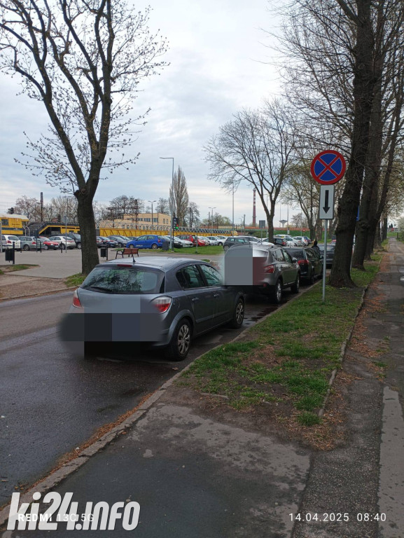 Na trawnikach, zakazach i gdzie się da