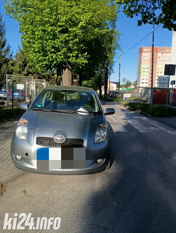 Na trawnikach, zakazach i gdzie się da