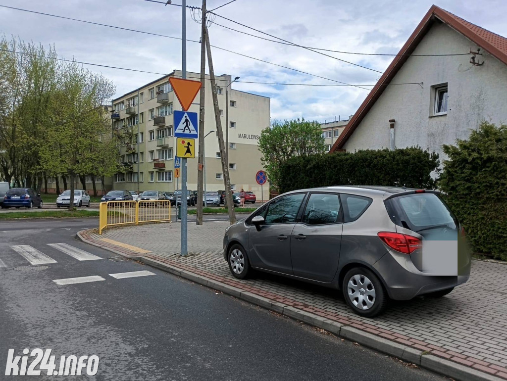Na trawnikach, zakazach i gdzie się da