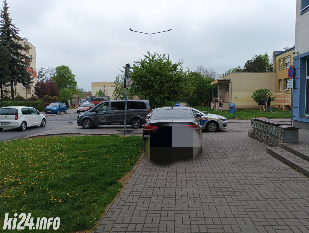 Na trawnikach, zakazach i gdzie się da