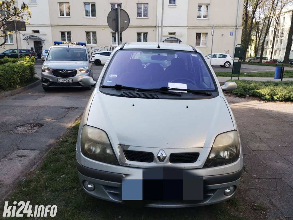 Na trawnikach, zakazach i gdzie się da