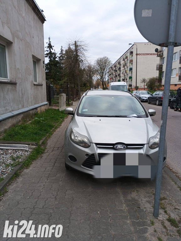 Na trawnikach, zakazach i gdzie się da