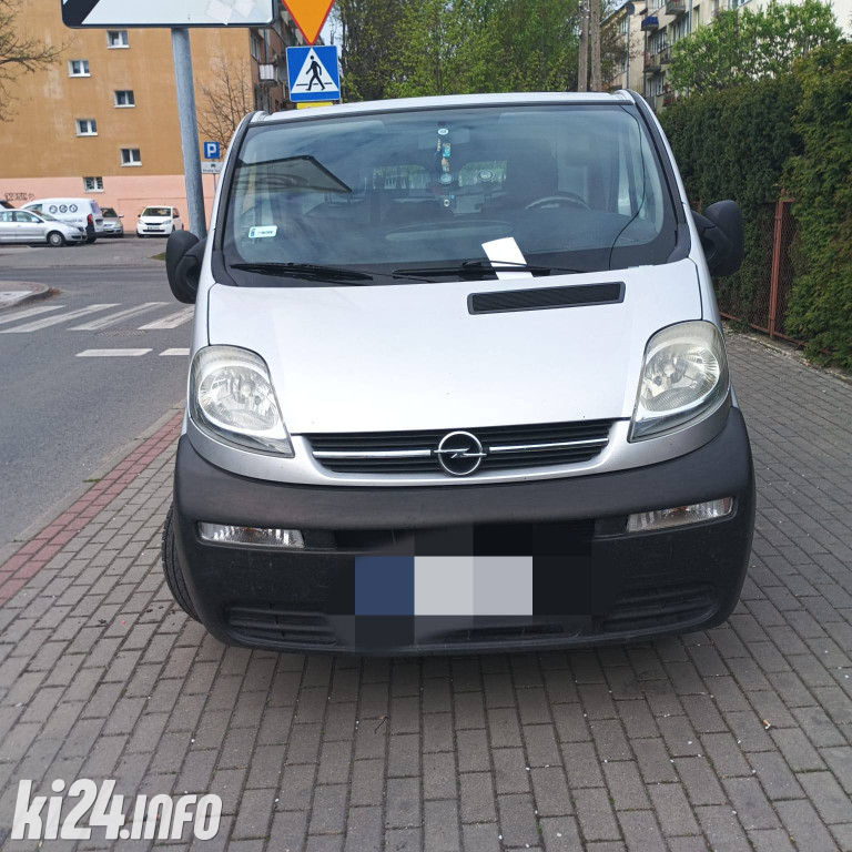 Na trawnikach, zakazach i gdzie się da