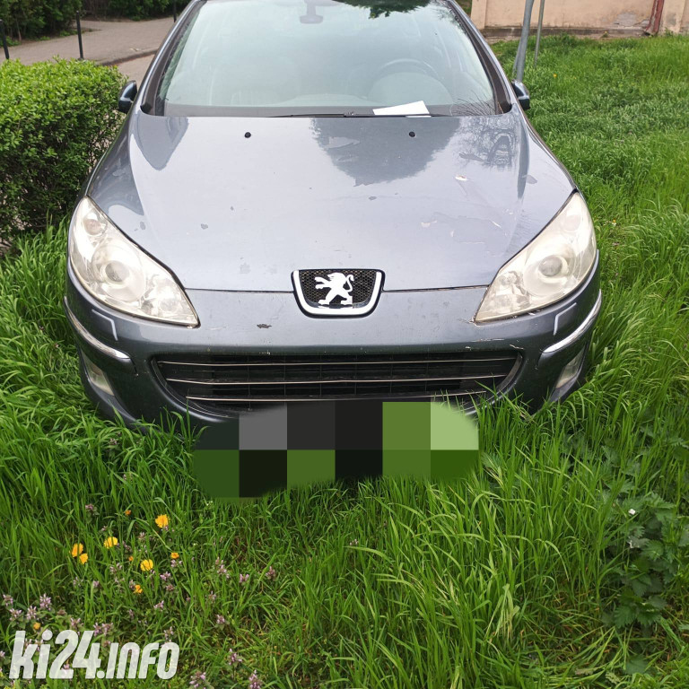 Na trawnikach, zakazach i gdzie się da