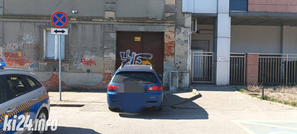 Na trawnikach, zakazach i gdzie się da