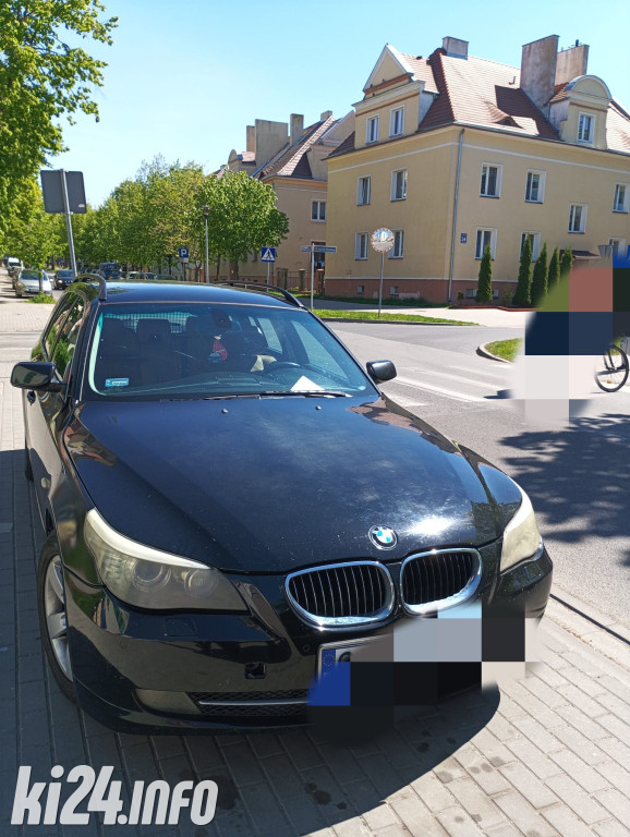 Na trawnikach, zakazach i gdzie się da