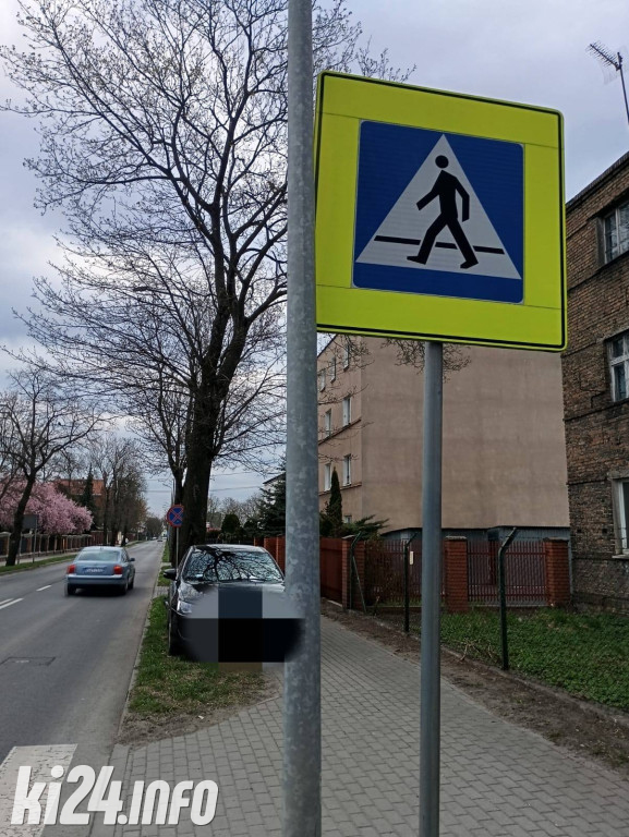 Na trawnikach, zakazach i gdzie się da