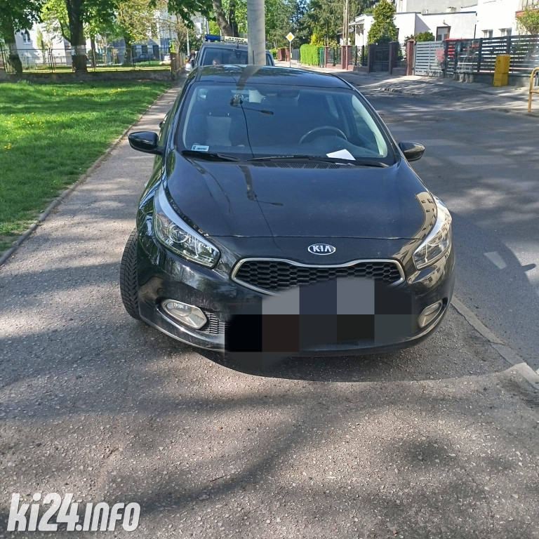 Na trawnikach, zakazach i gdzie się da