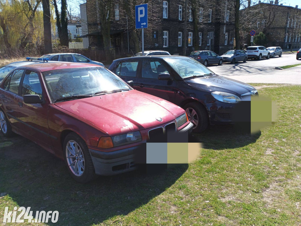 Na trawnikach, zakazach i gdzie się da