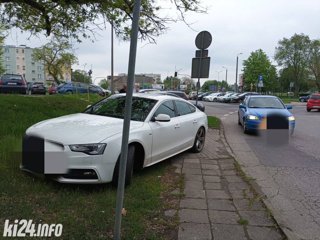 Na trawnikach, zakazach i gdzie się da