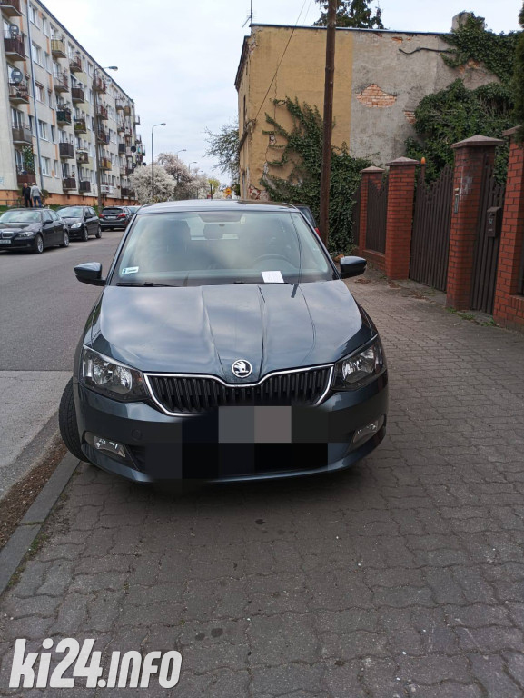 Na trawnikach, zakazach i gdzie się da