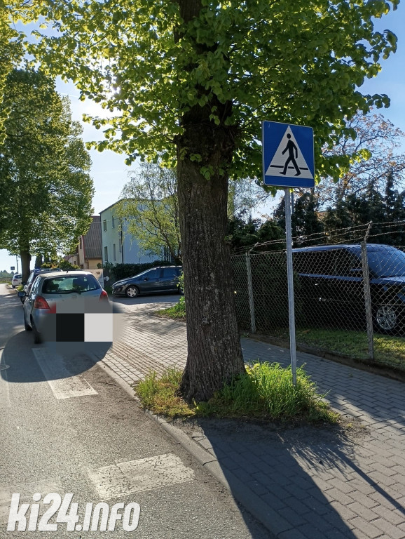 Na trawnikach, zakazach i gdzie się da