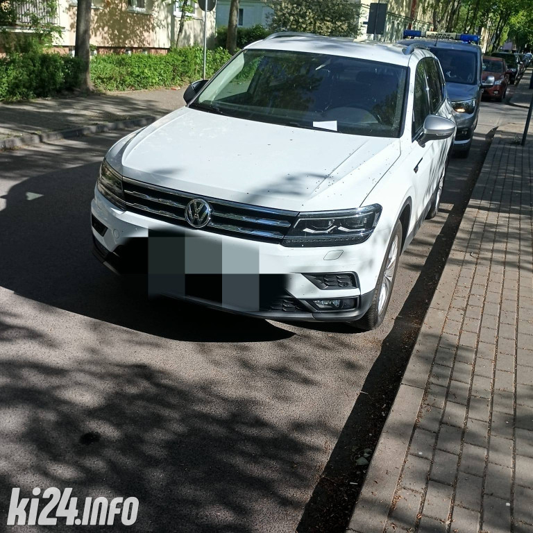 Na trawnikach, zakazach i gdzie się da