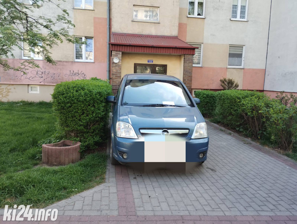 Na trawnikach, zakazach i gdzie się da
