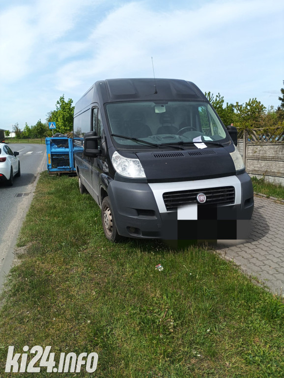 Na trawnikach, zakazach i gdzie się da