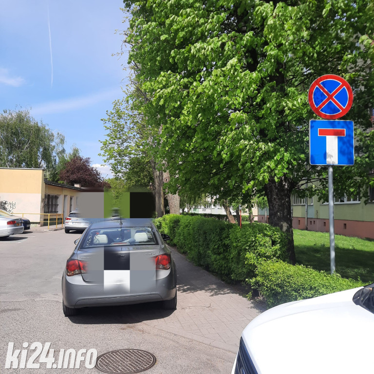 Na trawnikach, zakazach i gdzie się da