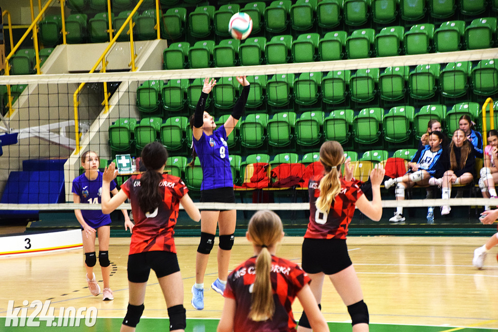 Turniej Piłki Siatkowej na Hali Widowiskowo Sportowej