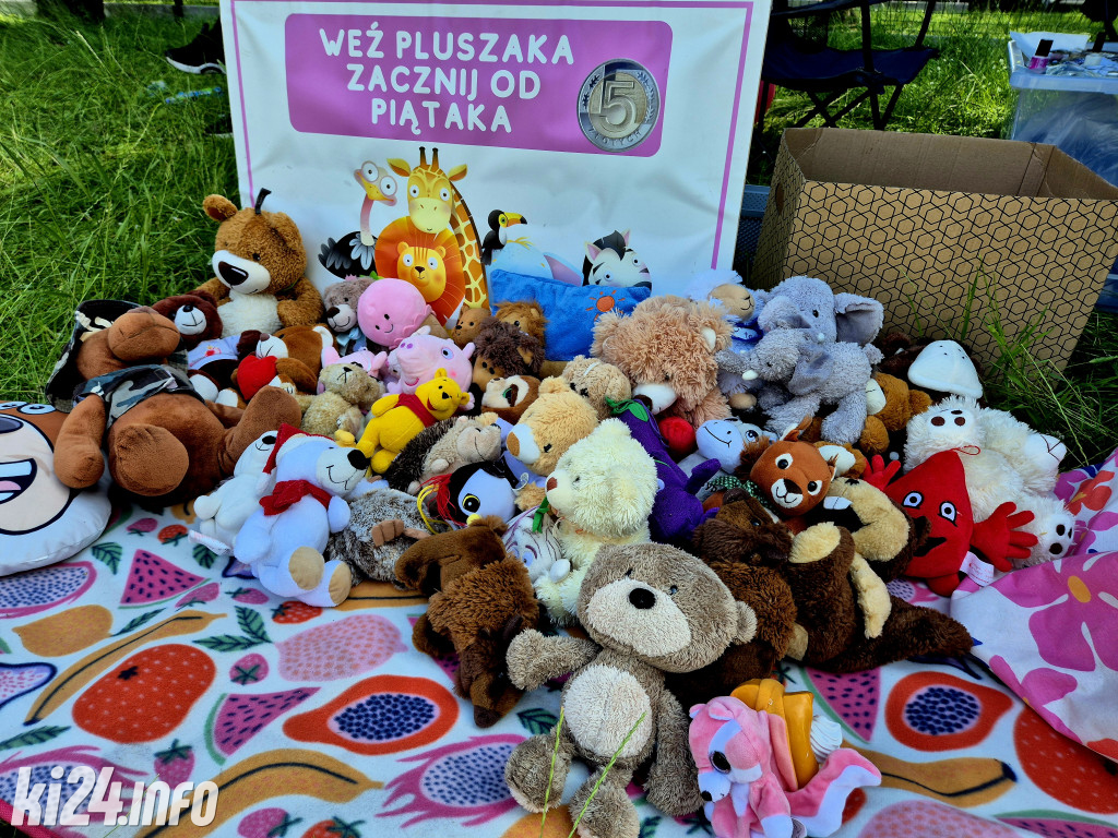 Bezpieczne Lato z Kocią Doliną!