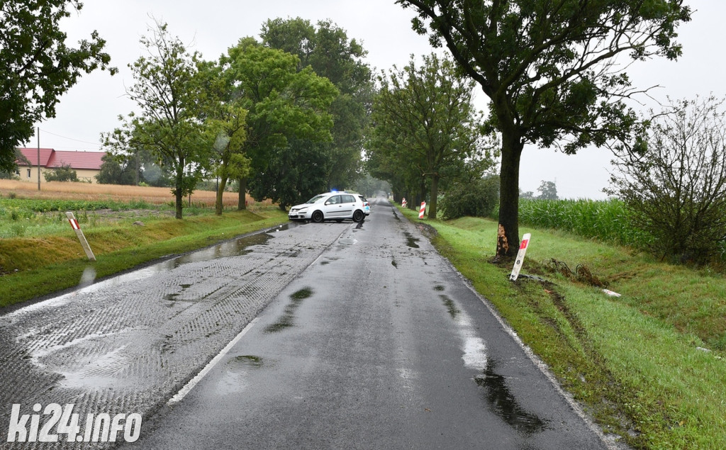 Uderzył w drzewo, pasażerka trafiła do szpitala