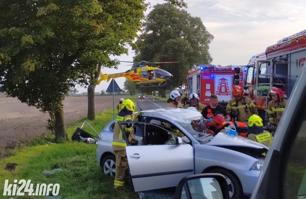 19-latka uderzyła seatem w drzewo