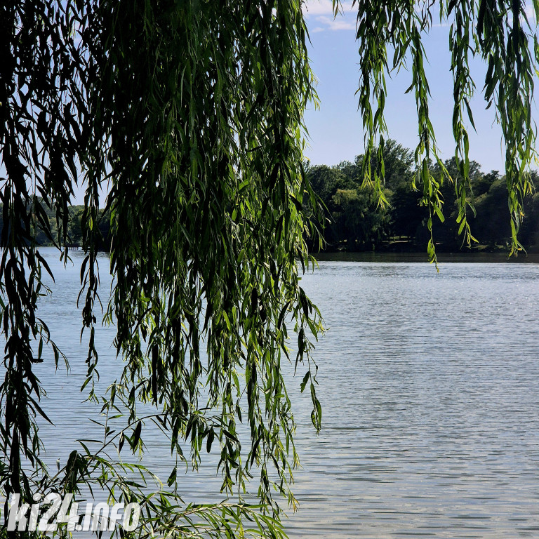 Lato w Kruszwicy