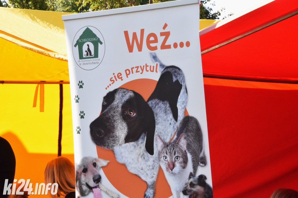 Międzynarodowy Dzień Psa