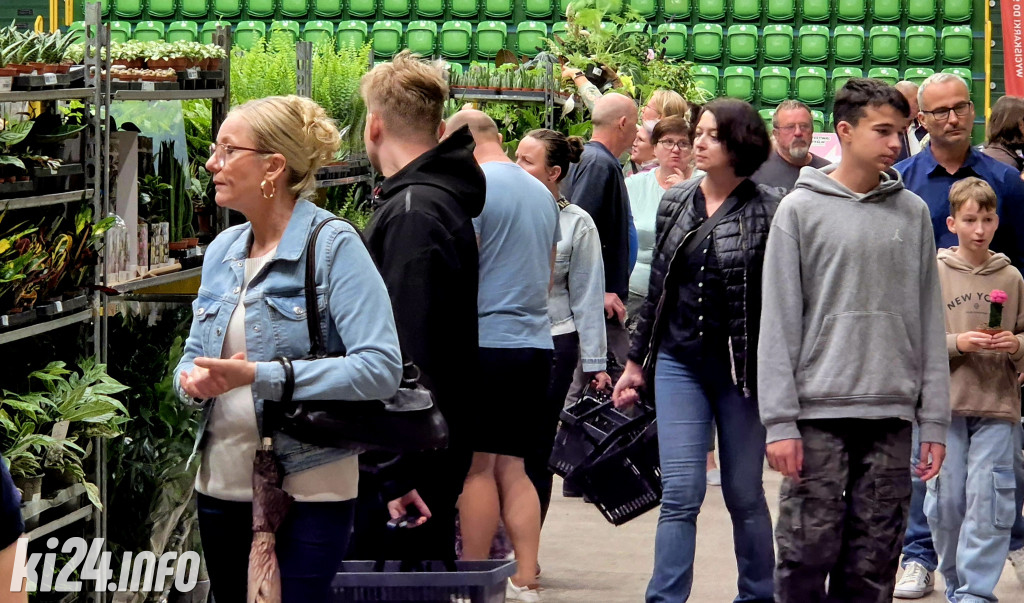 Festiwal Roślin w Hali