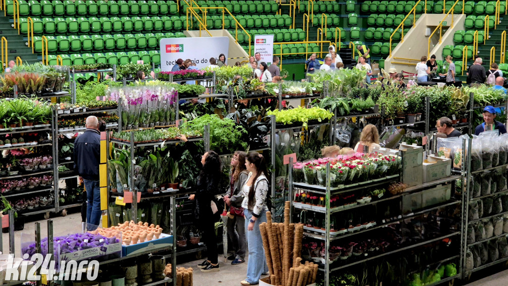 Festiwal Roślin w Hali