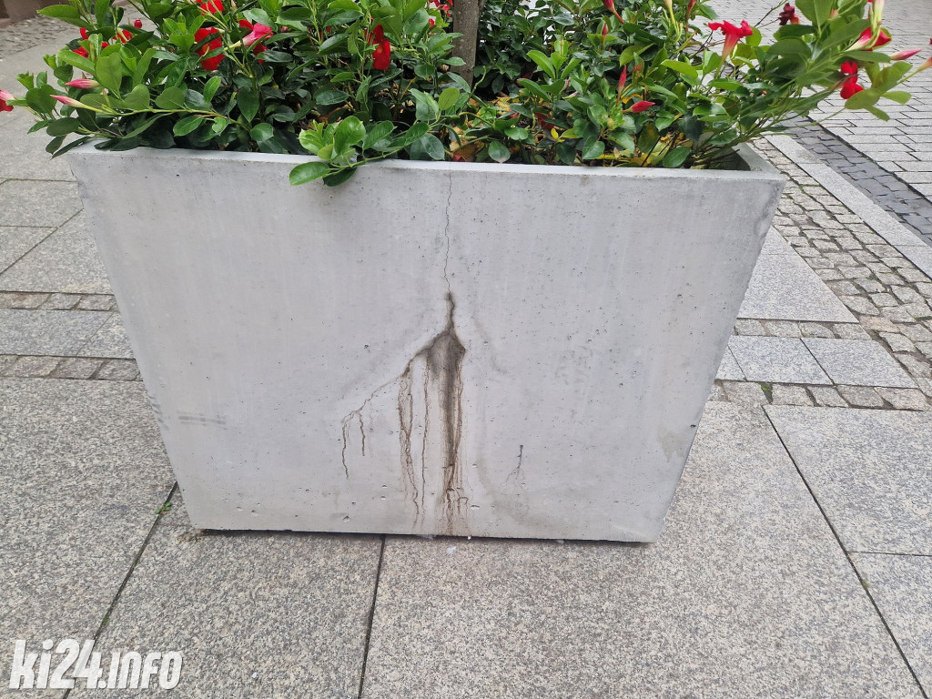 Donice na Królówce