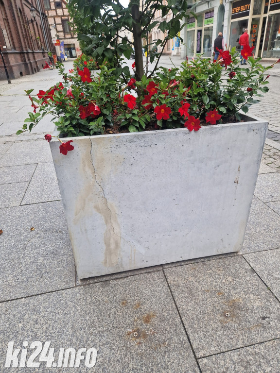 Donice na Królówce