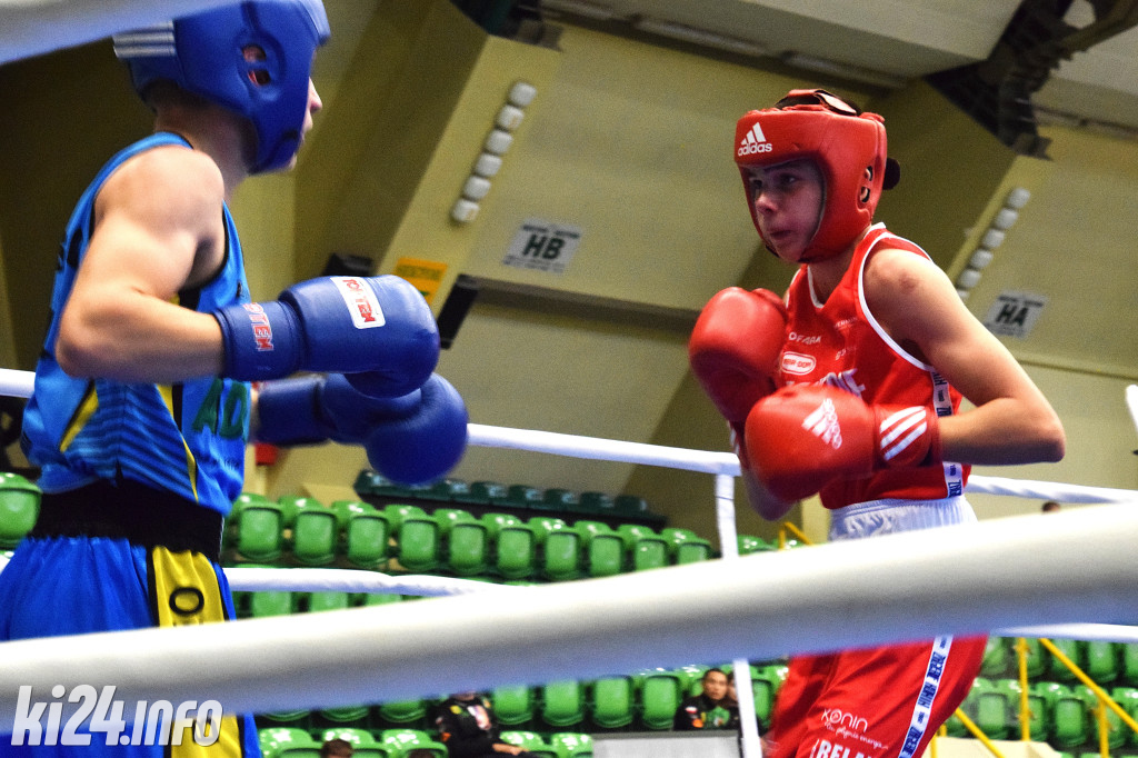 Cuiavia Events Boxing